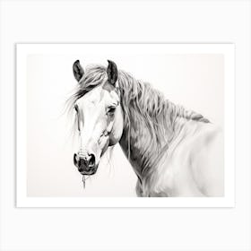 A Horse Oil Painting In Grace Bay Beach Turks And Caicos Islands, Landscape 3 Art Print