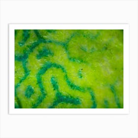 Abstract Green Pattern Fabric Texture On Israeli Money Bill Of 50 Shekel Under The Microscope 2 Art Print