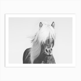 Long Haired Horse Art Print