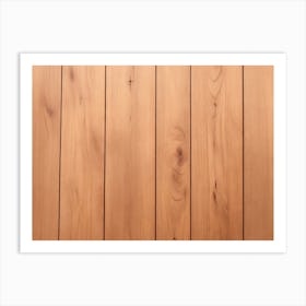 Wood Planks 2 Art Print