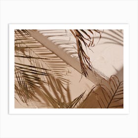 Neutral Palm Leaf Shadows Art Print
