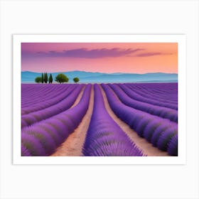 Lavender Field At Sunset Art Print