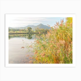 Reeds By The River Art Print