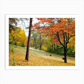 Autumn Scene 2  Art Print