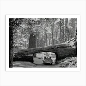 Car Driving Through Tunnel Log Art Print