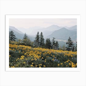 Mountain Flower Meadow Art Print