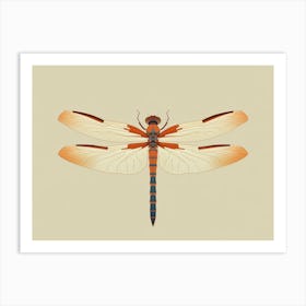 Dragonfly Common Baskettail Epitheca 3 Art Print