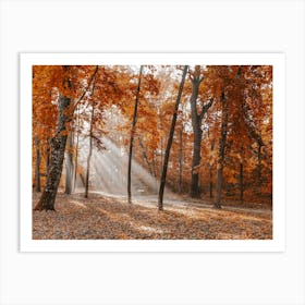 Red Forest Leaves Art Print