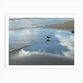 Bird and reflections on the sandy beach Art Print