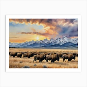 Wild Bison Herd Plains Art Print