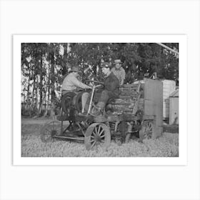 Salinas, California, Intercontinental Rubber Producers, Mower Which Cuts Off Tops Of Guayule Seedlings In Nurser Art Print