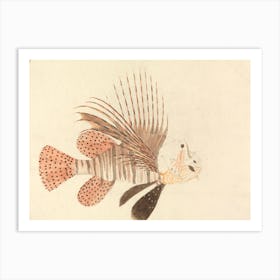 A Fish, Luigi Balugani Art Print