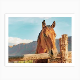 Desert Horse Art Print