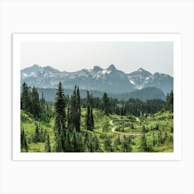 Wildflower Meadow At Mount Rainier National Park Art Print