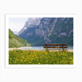 Bench In The Mountains Art Print
