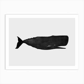 Sperm Whale Art Print