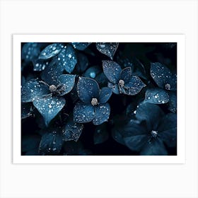 Dark flowers with waterdrops Art Print