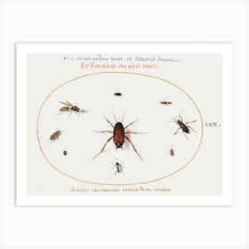 A Roach Surrounded By Insects, Joris Hoefnagel Art Print