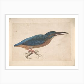 Kingfisher Vintage Painting Art Print