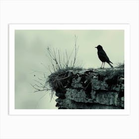 Crow On Cliff 2 Art Print