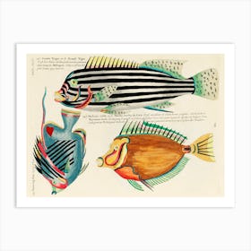 Colourful And Surreal Illustrations Of Fishes Found In Moluccas (Indonesia) And The East Indies, Louis Renard(86) Art Print