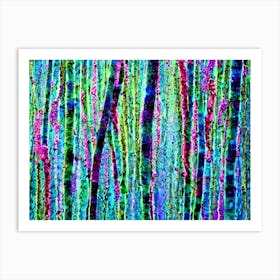 Birch Forest Art Print