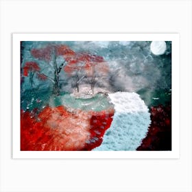 Moonlight Art Print