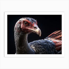 Turkey Head on Black Art Print