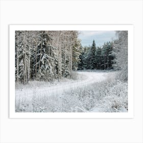 Winter Landscape In The Forest Art Print