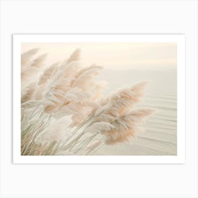 Pampas Grass In The Evening Art Print