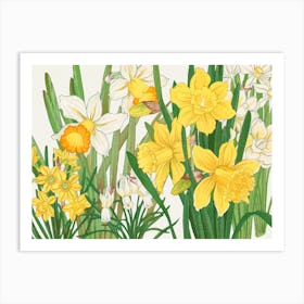 Daffodils 5 Art Print