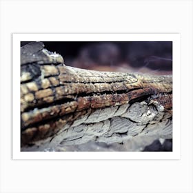 Log Burned In Stones Bonfire 1 Art Print