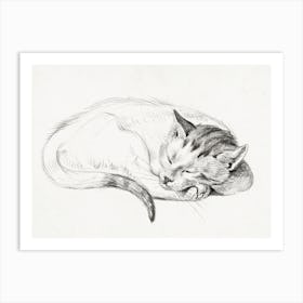 Sketch Of A Sleeping Cat, Jean Bernard Art Print