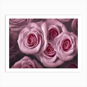 Pink Roses 11 Art Print