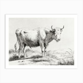 Standing Cow 6, Jean Bernard Art Print