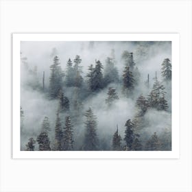Dreaming in A Redwood Forest Art Print