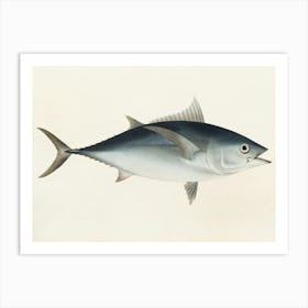 Vintage Tuna Art Print