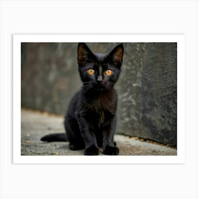 Black Cat With Yellow Eyes 1 Art Print