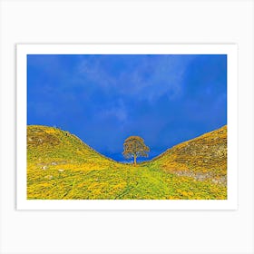 Sycamore Gap Hadrians Wall 1 Art Print