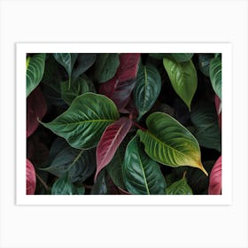 Eucalyptus Leaves Art Print