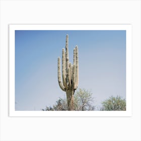 Saguaro Cactus Scenery Art Print