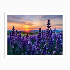 Sunset Over Lavender Field 2 Art Print