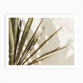 Tropical Palm Art Print