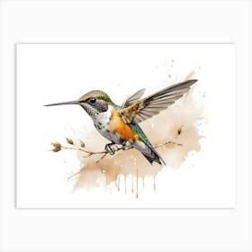 Kolibri Hummingbird - Water Color Painting 3 Art Print