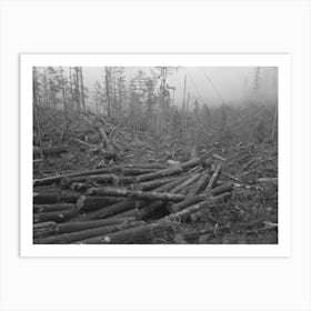 Untitled Photo, Possibly Related To Logs, Long Bell Lumber Company, Cowlitz County, Washington, In The Yard Art Print