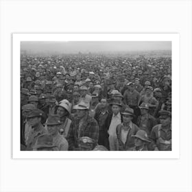 Untitled Photo, Possibly Related To Workmen At Umatilla Ordnance Depot At Beer Party Given By Contractor In Art Print