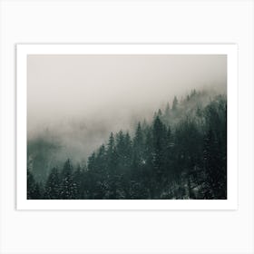 Misty Forest Views Art Print