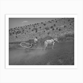Untitled Photo, Possibly Related To The Duster Of The Allen Valley Duster Association Dusting Alfalfa, Sanpete Art Print