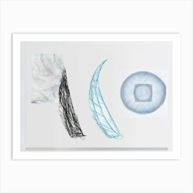 'Blue Feathers' Art Print