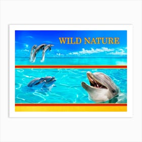 WILD NATURE - JOLLY DOLPHIN design collection Art Print